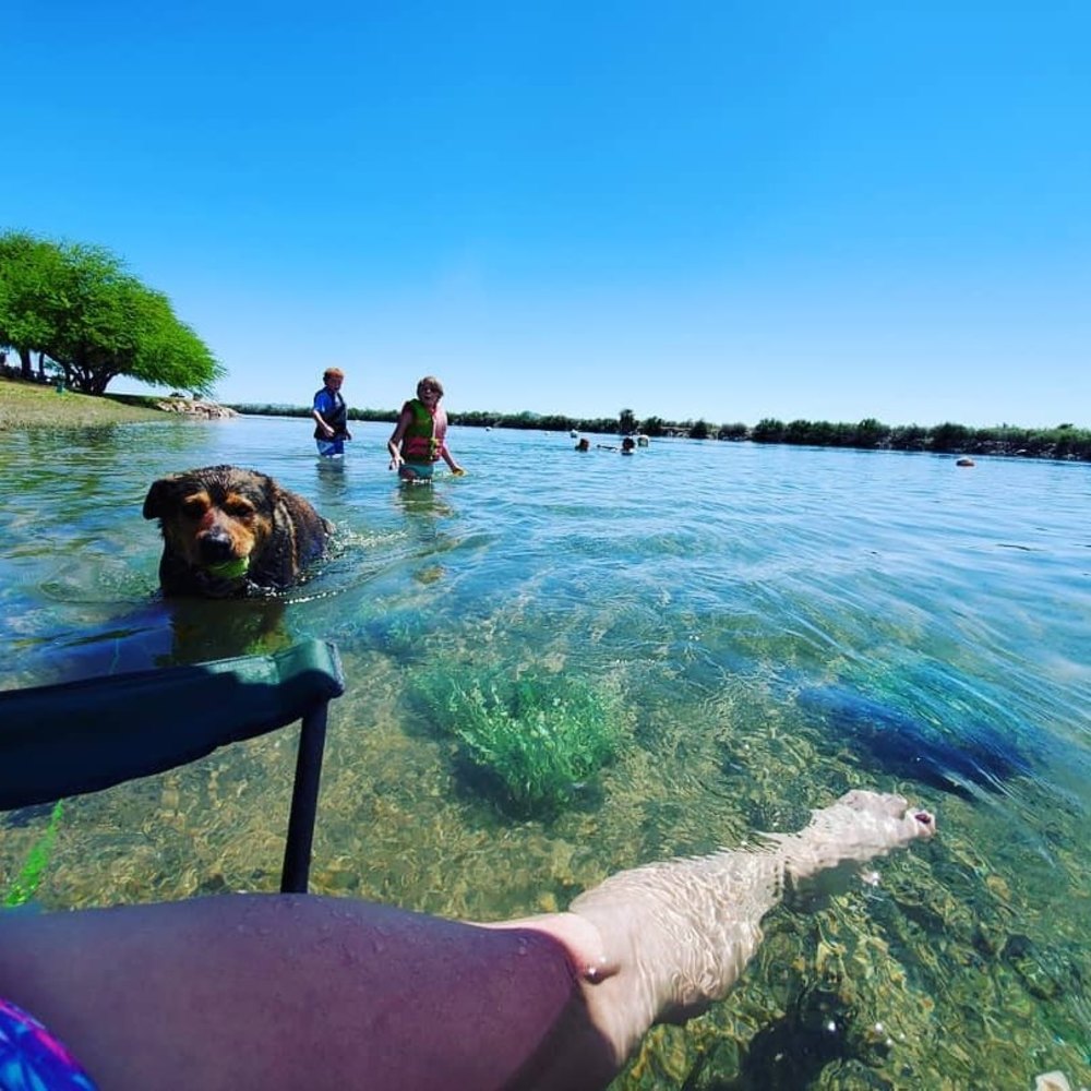 Meet your Posher, Heather